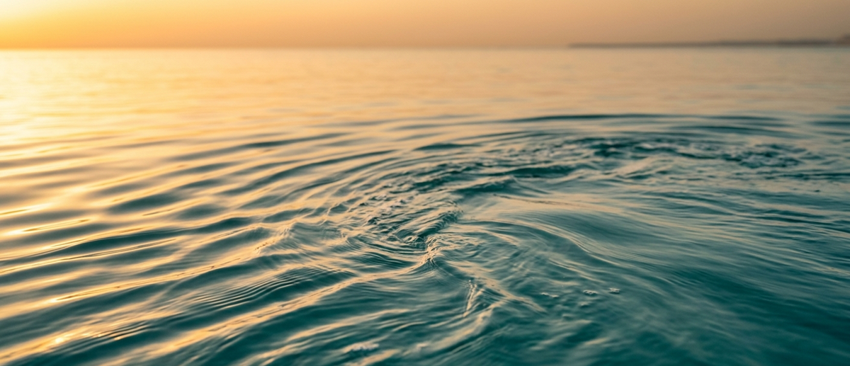 Not All Omega-3 Is the Same: The Real Difference Between EPA and DHA