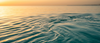 Not All Omega-3 Is the Same: The Real Difference Between EPA and DHA