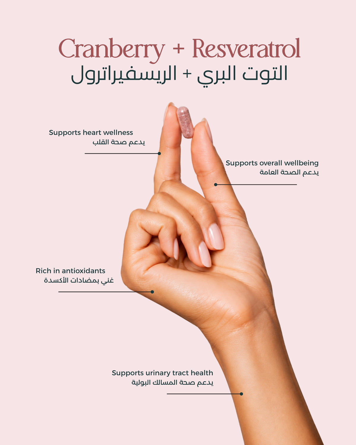 Hand with pink nail polish on a light pink background with text about cranberry and resveratrol benefits.