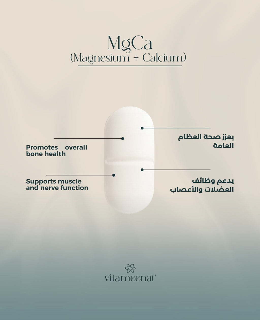 Magnesium MgCa description - Daily Essentials - All in One Vitamin Box - Vitameenat