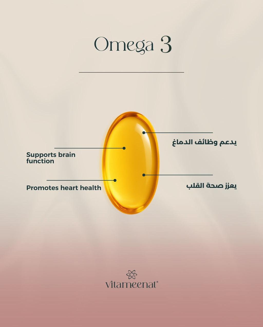 Omega 3 description - Daily Essentials - All in One Vitamin Box - Vitameenat